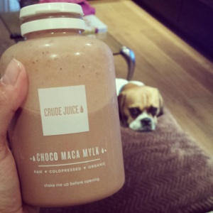 Humphrey the Puggle is not impressed by being upstaged by a beverage…. again