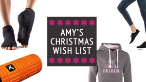 Amy's Christmas Wish List