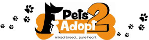 PEts2Adopt Cyprus Charity Bootcamp Logo
