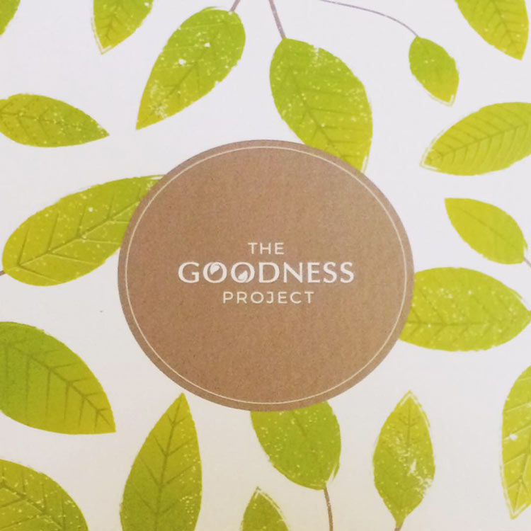 goodness project vegan box review
