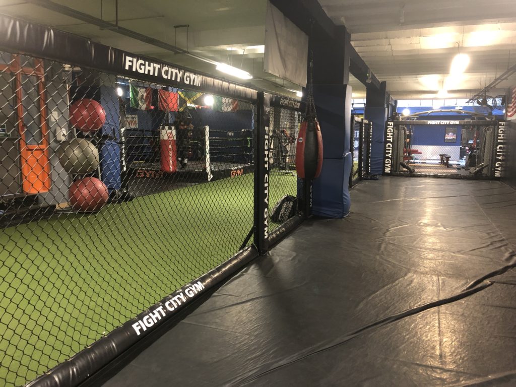 Fight City Gym's Space - A padded training area, weights area, floor space and a boxing ring. Natural light floods in at the rear of the space.